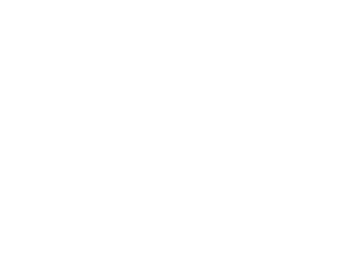 icon-gare